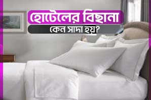 হোটেলের বিছানা কেন সাদা Why The Bed In Hotel Is White