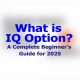 What is IQ Option